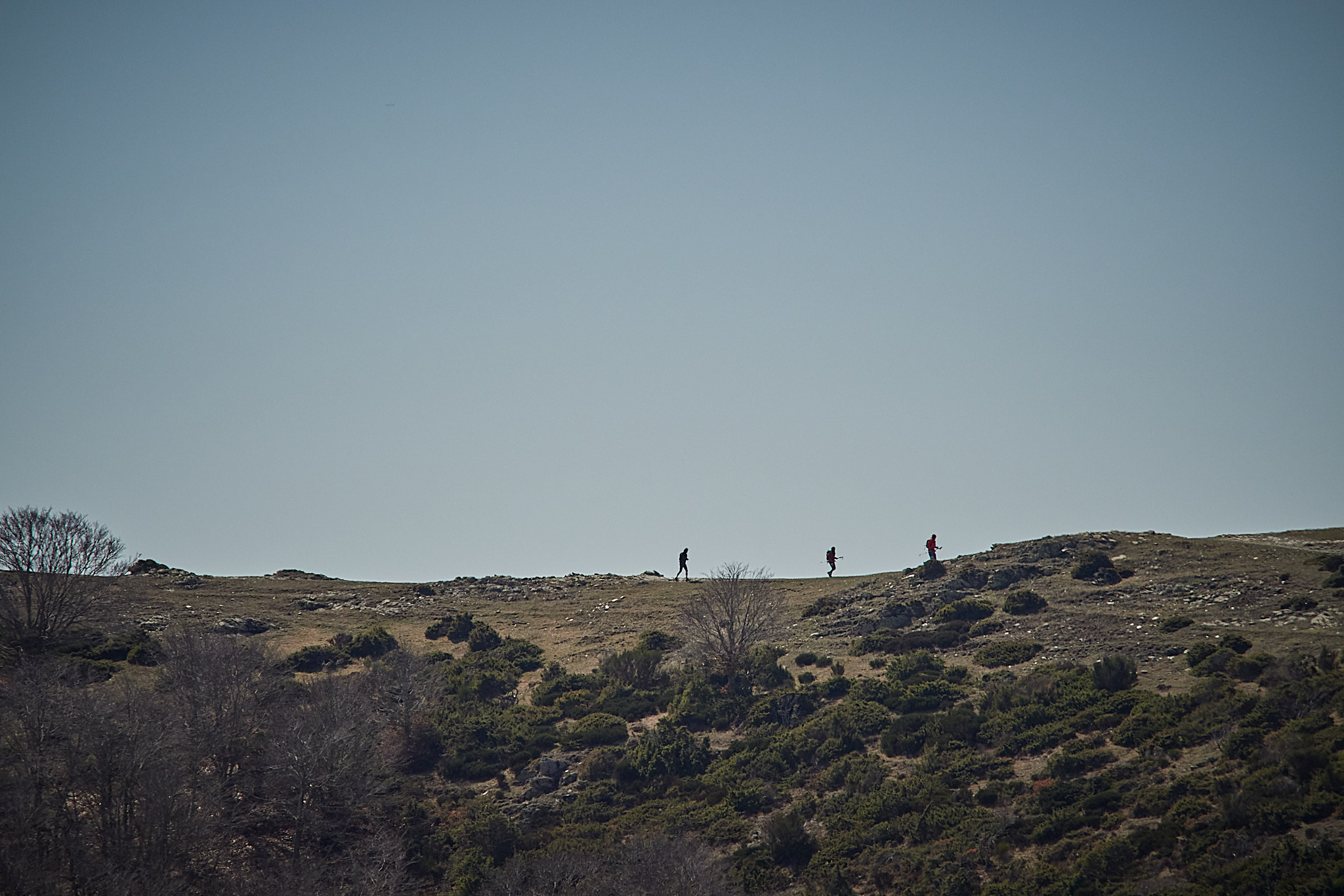Ultra Trail Montseny cxm carreras por montaña trailrunning